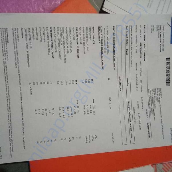 Medical Report