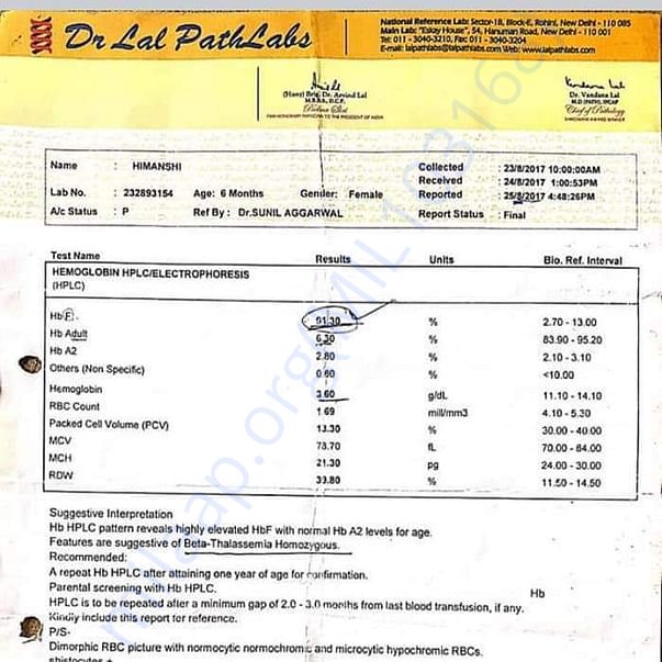 Medical Report