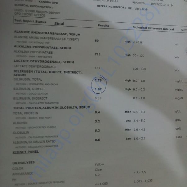 Medical Report