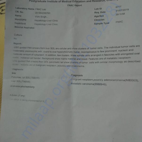 Medical Report