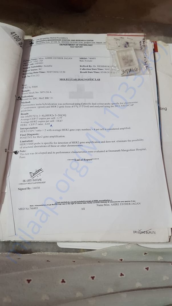 Document