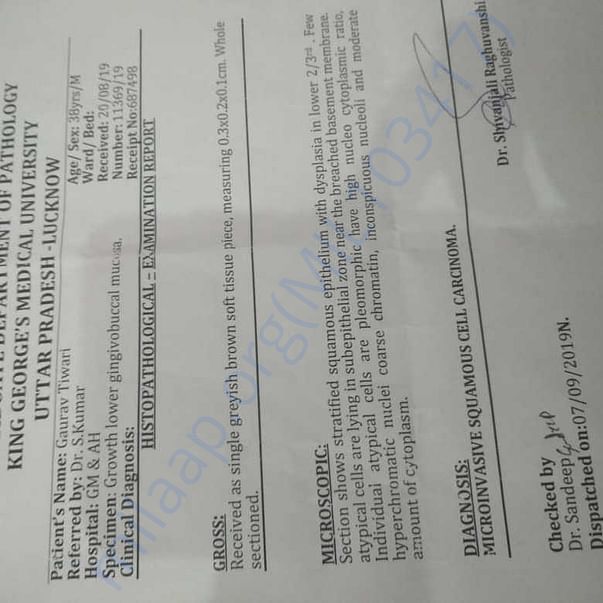 Medical Report