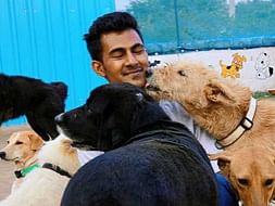 Help us to Rescue Stray Animals who need Medical Attention