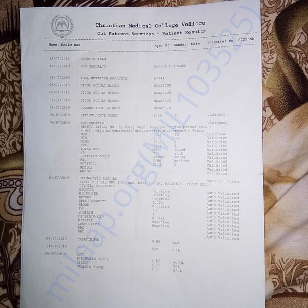 Test reports
