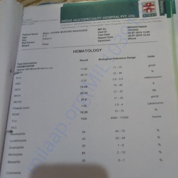 Medical Report