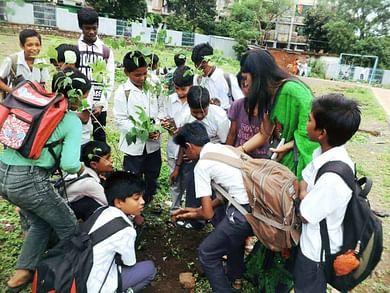 Tree plant by kids