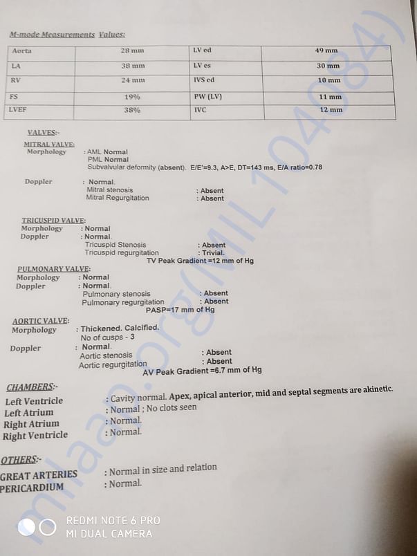 Document