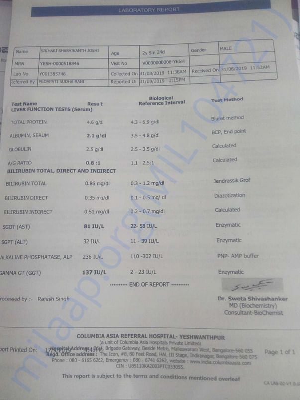 Document