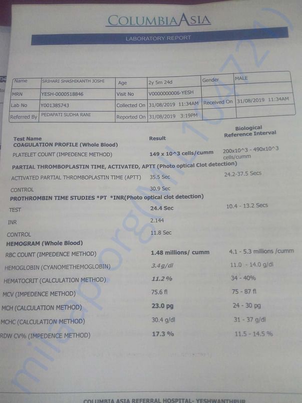 Document