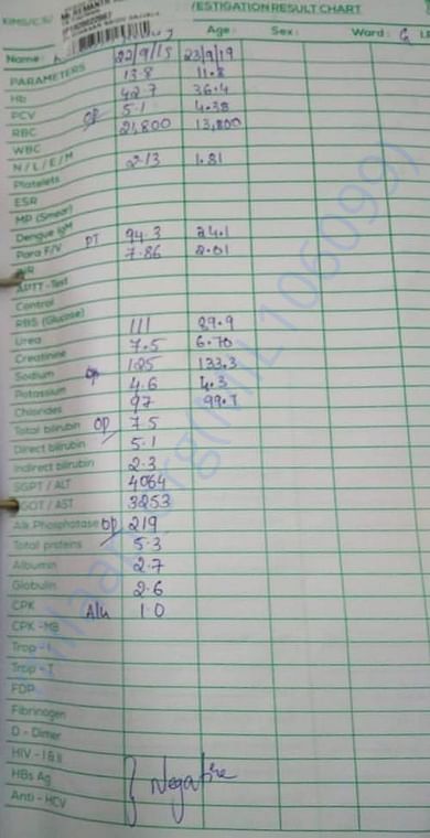 INVESTIGATION RESULT CHART