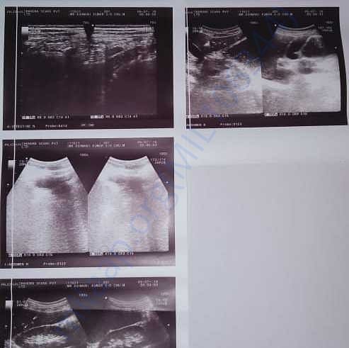 Medical Report