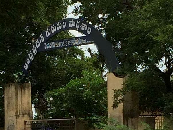 Help APR School Venkatagiri To Prosper