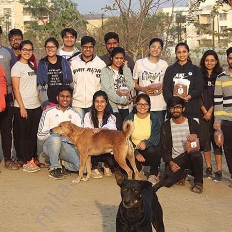 FOOD DONATION AND VACCINATION DRIVE FOR STRAY DOGS IN PUNE.