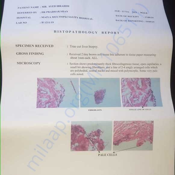 Medical Report