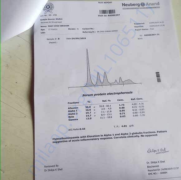 Medical Report