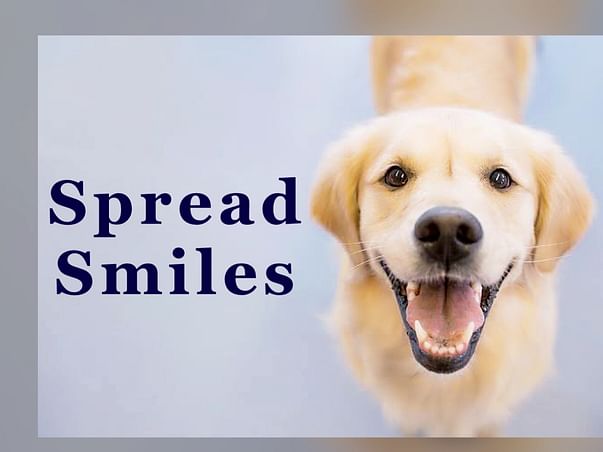 FEED and STERILIZE - Two MAIN Focus(100+ Dogs of Ghukna, Ghaziabad)
