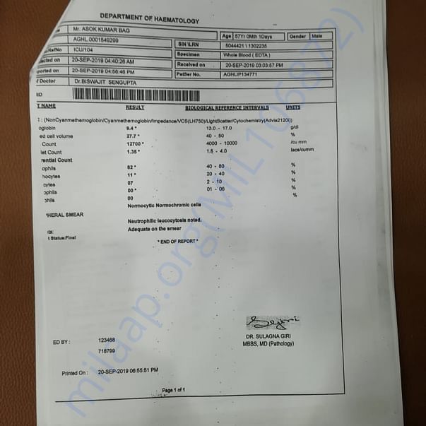 Medical Report