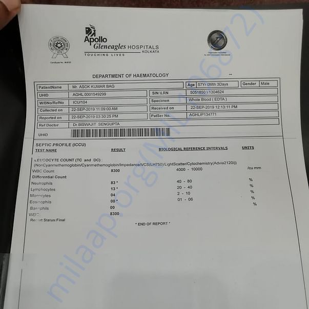 Medical Report