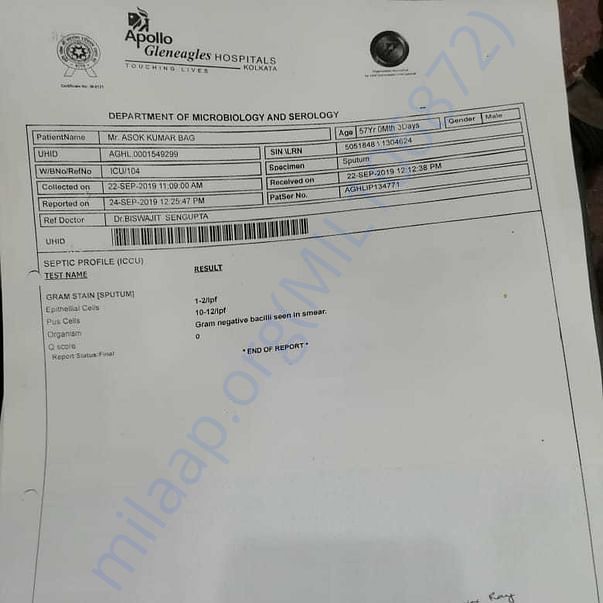 Medical Report