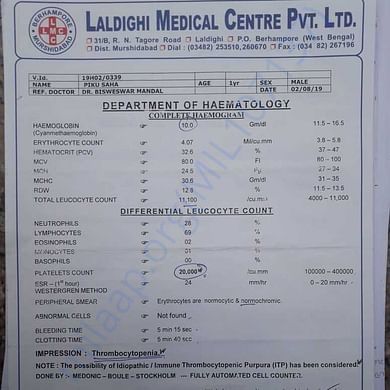Medical Report