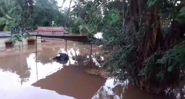 Krishna river water coming into our village