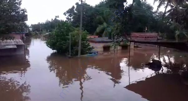 Krishna river water coming into our village