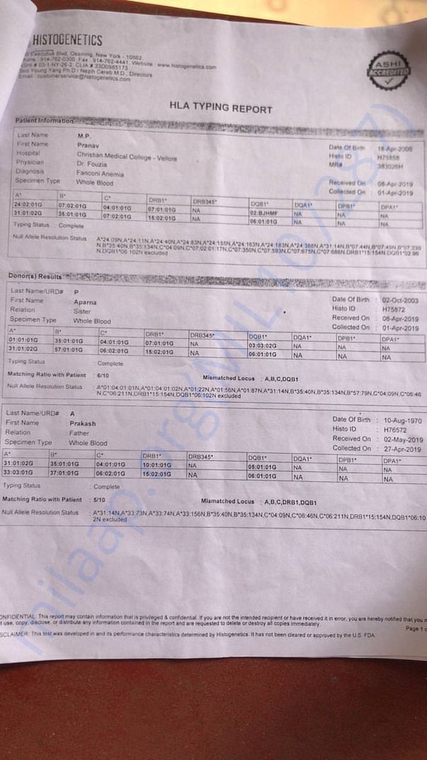 Document