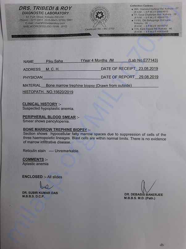 Medical report