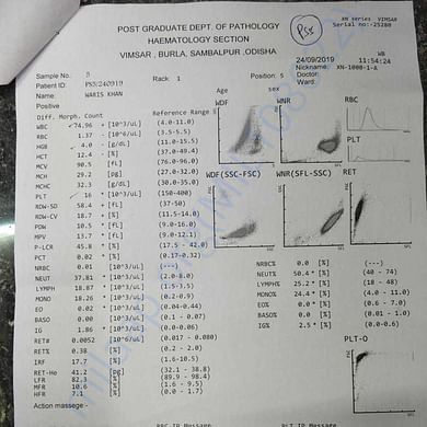 Medical Report