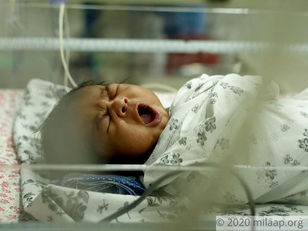 Help Dolly's Baby Recover