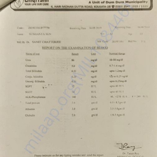 Medical Report