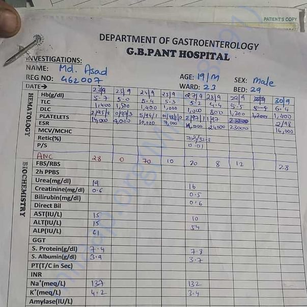Medical Report