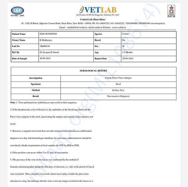 Medical Report
