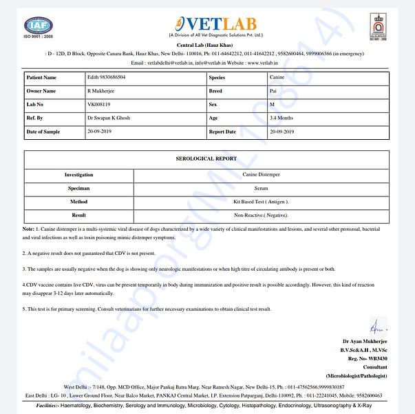 Medical Report