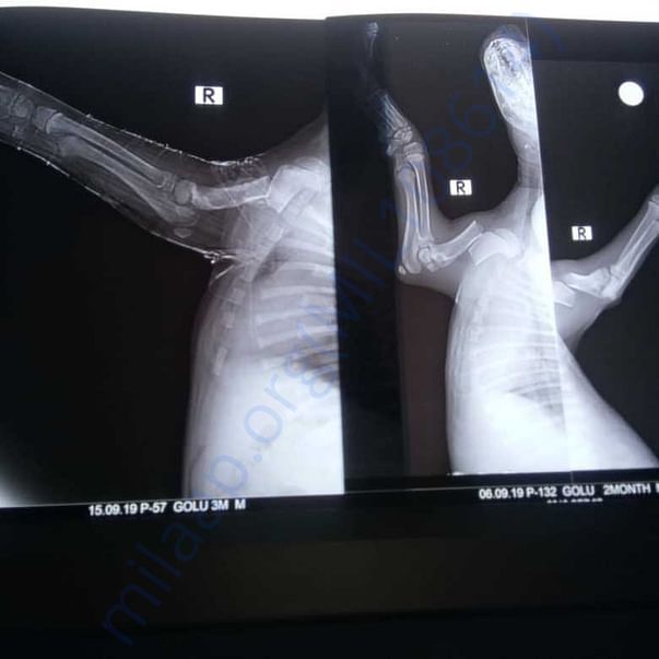 Medical Report