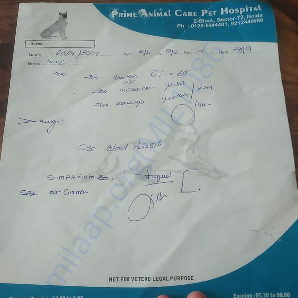 Medical Report