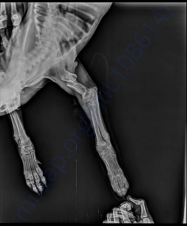 Latest X-Ray
