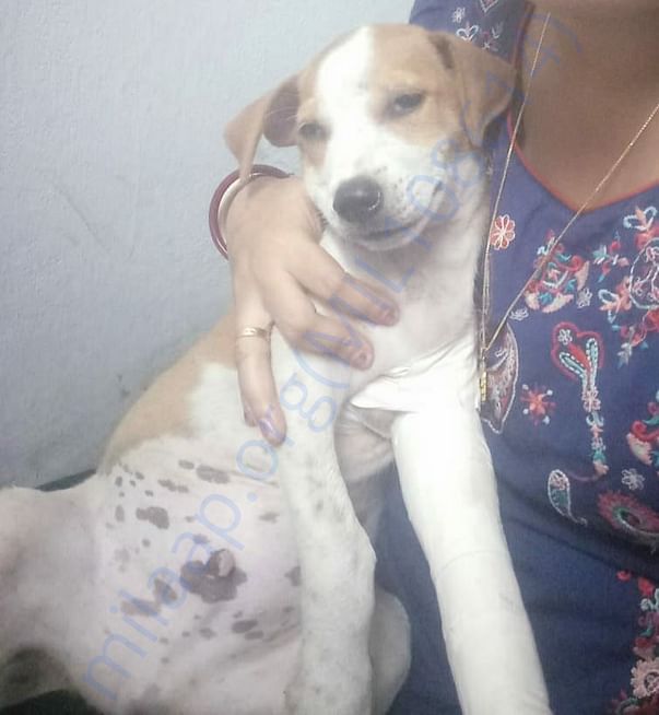 After rescue.