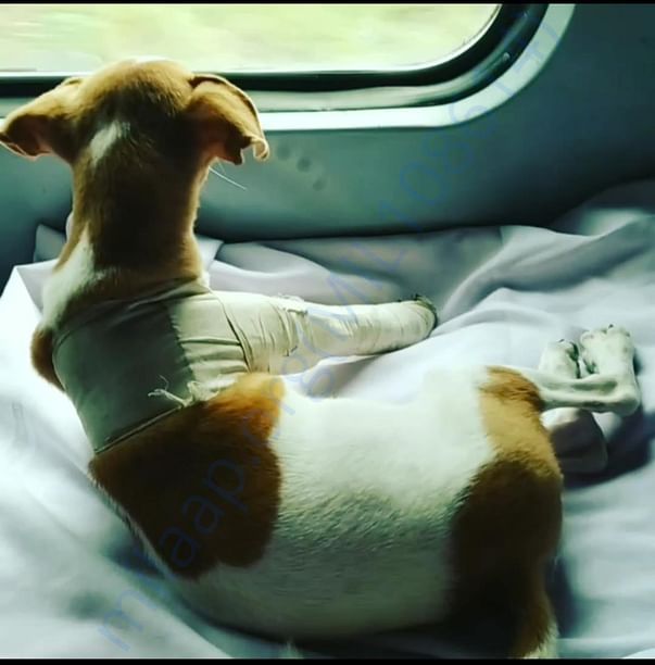 While travelling to Delhi