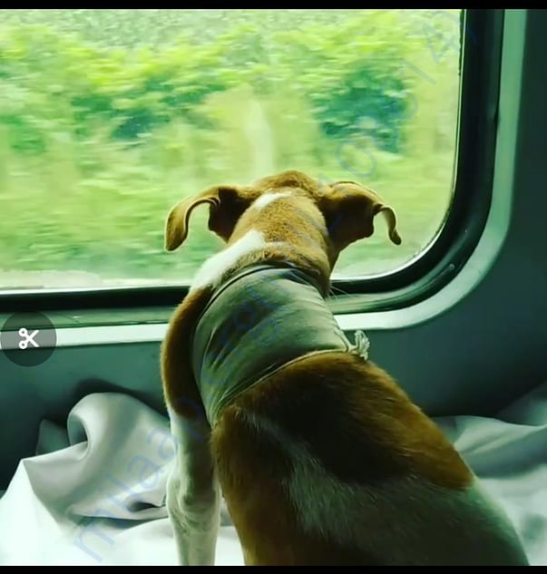 While travelling to Delhi