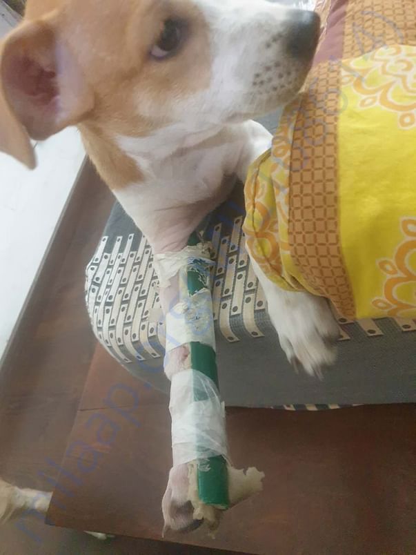During treatment