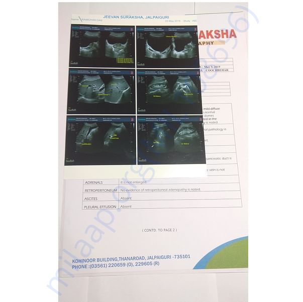 Medical Report