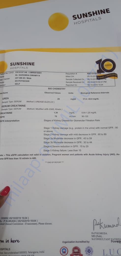Report5
