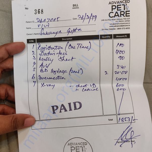 Medical Bill