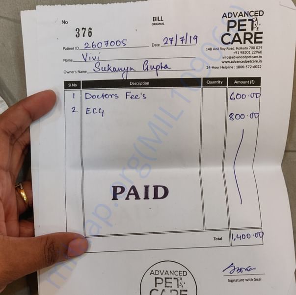 Medical Bill