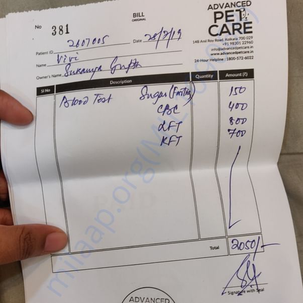 Medical Bill