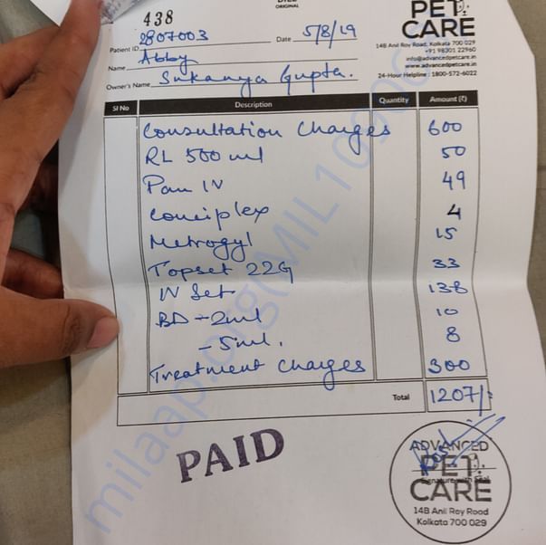 Medical Bill