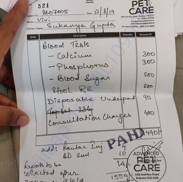 Medical Bill