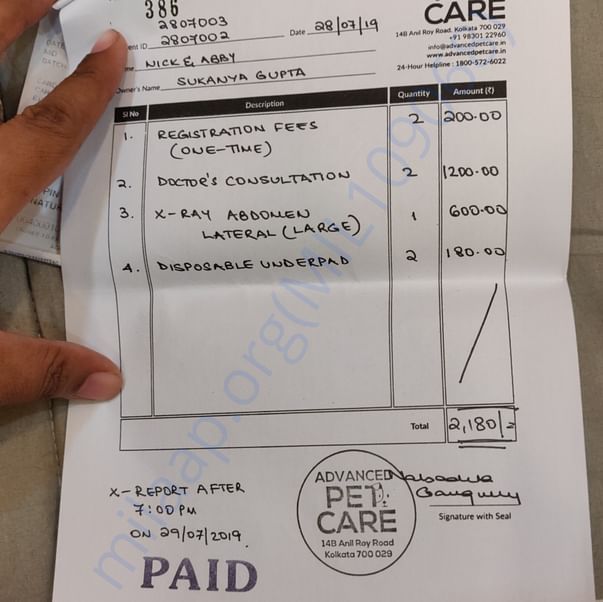 Medical Bill