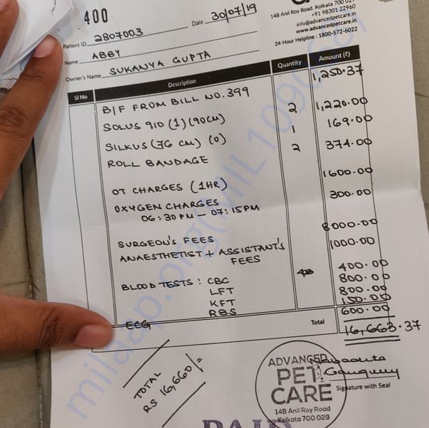 Medical Bill